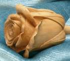 carved rose
