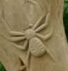 carved spider on bench