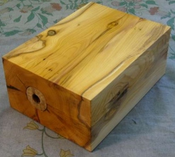 YEW BOX